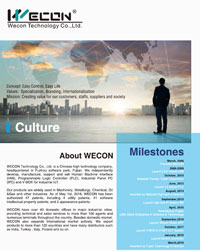 Каталог продукции 2019 года фирмы Wecon